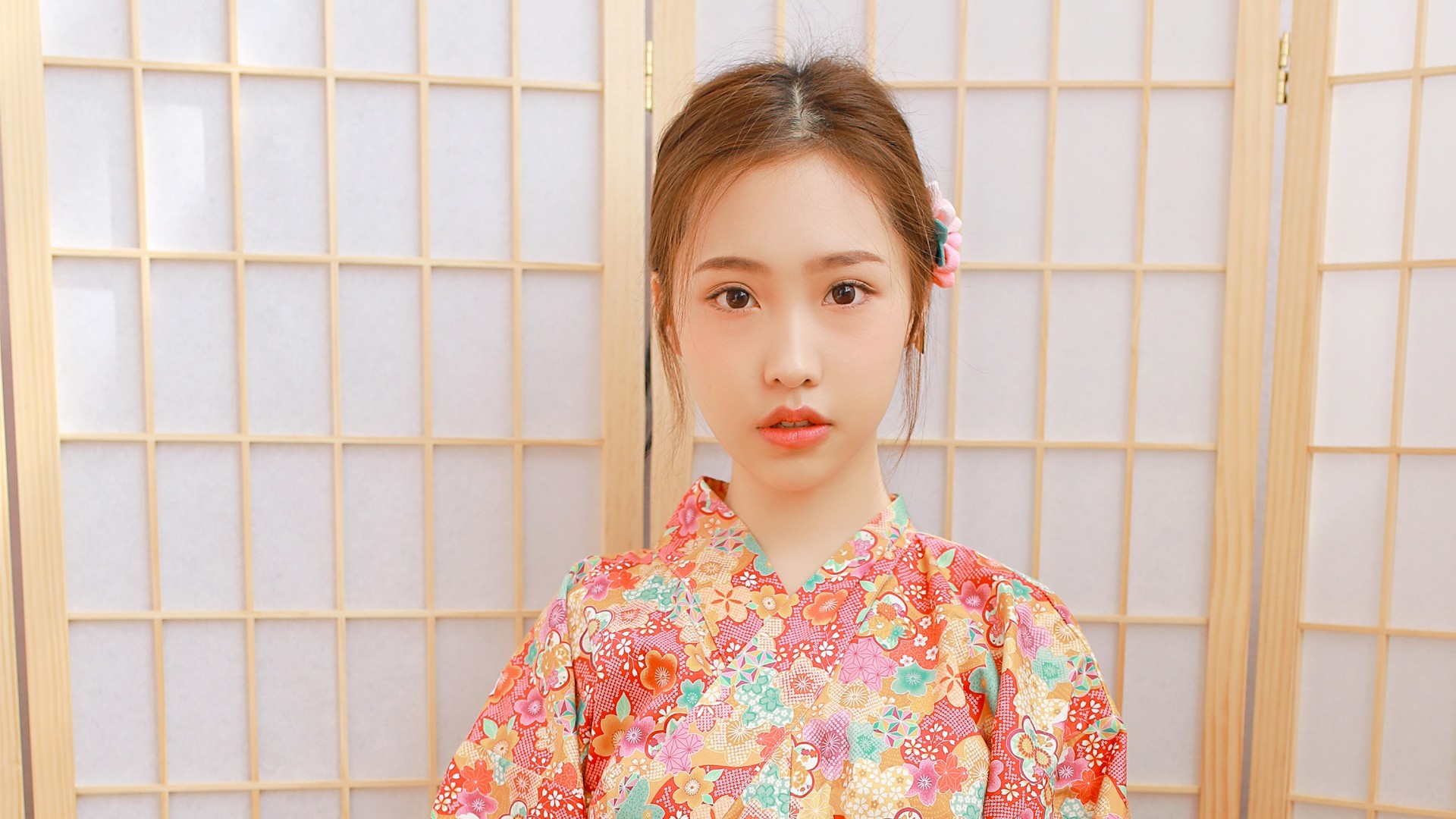 荒野远征 封面